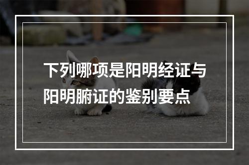 下列哪项是阳明经证与阳明腑证的鉴别要点