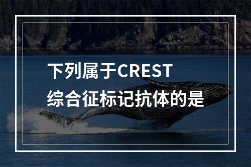 下列属于CREST综合征标记抗体的是