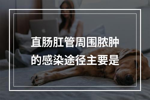 直肠肛管周围脓肿的感染途径主要是