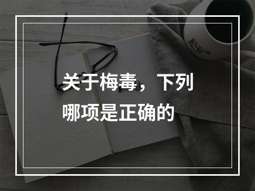 关于梅毒，下列哪项是正确的