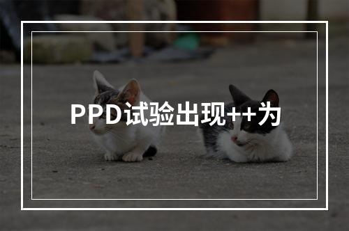 PPD试验出现++为