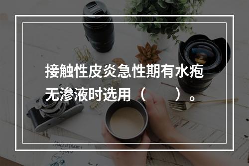 接触性皮炎急性期有水疱无渗液时选用（　　）。