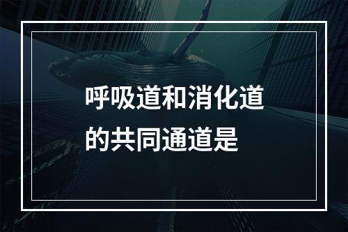 呼吸道和消化道的共同通道是