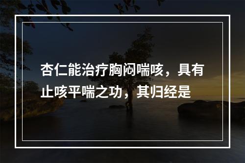 杏仁能治疗胸闷喘咳，具有止咳平喘之功，其归经是