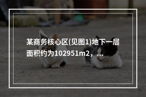 某商务核心区(见图1)地下一层面积约为102951m2，主要