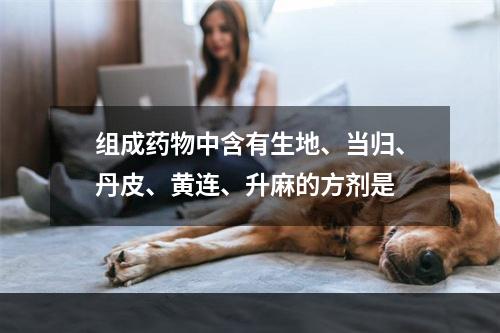 组成药物中含有生地、当归、丹皮、黄连、升麻的方剂是