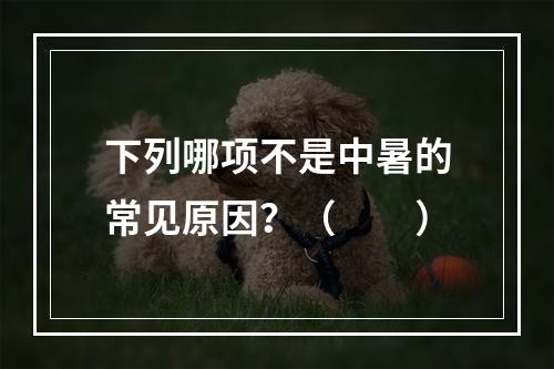 下列哪项不是中暑的常见原因？（　　）