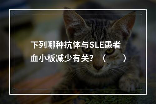 下列哪种抗体与SLE患者血小板减少有关？（　　）