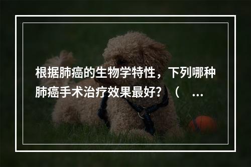 根据肺癌的生物学特性，下列哪种肺癌手术治疗效果最好？（　　）