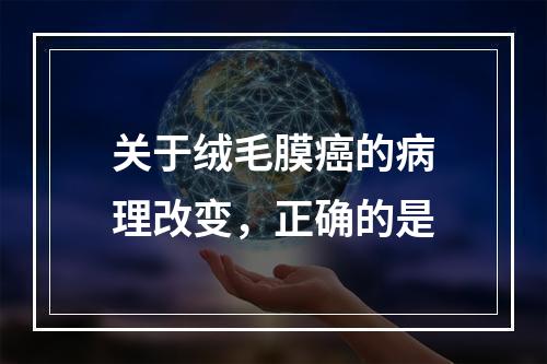 关于绒毛膜癌的病理改变，正确的是