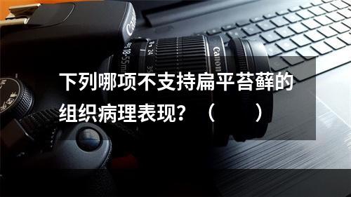 下列哪项不支持扁平苔藓的组织病理表现？（　　）