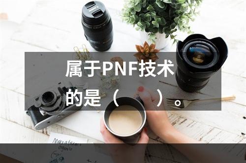 属于PNF技术的是（　　）。