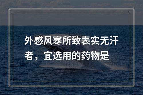 外感风寒所致表实无汗者，宜选用的药物是