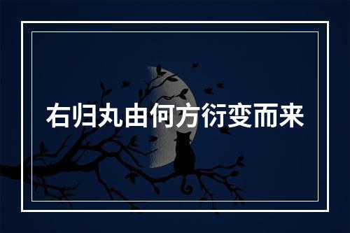 右归丸由何方衍变而来