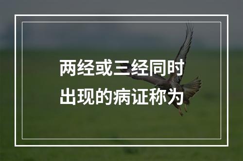 两经或三经同时出现的病证称为