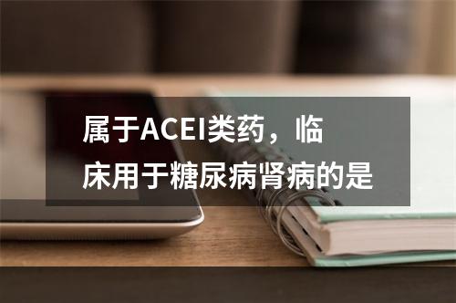 属于ACEI类药，临床用于糖尿病肾病的是