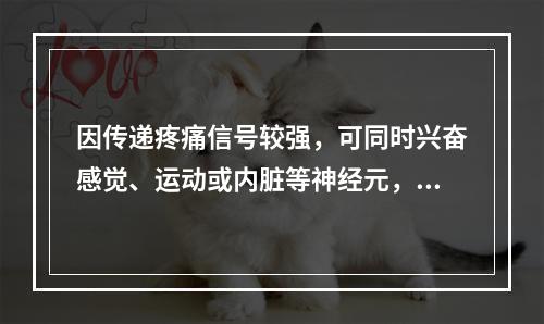 因传递疼痛信号较强，可同时兴奋感觉、运动或内脏等神经元，引起