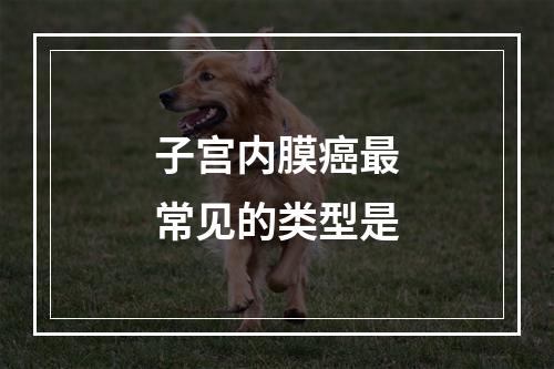 子宫内膜癌最常见的类型是