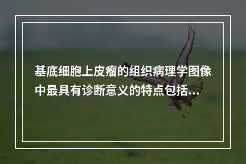 基底细胞上皮瘤的组织病理学图像中最具有诊断意义的特点包括（　