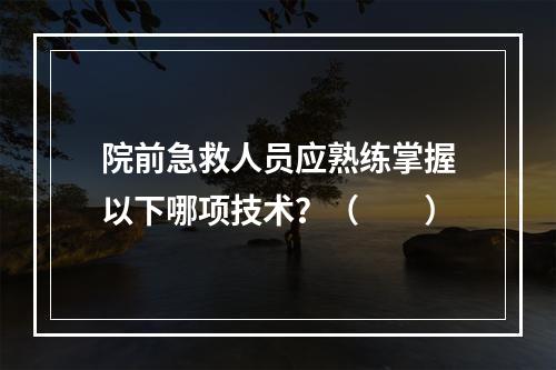 院前急救人员应熟练掌握以下哪项技术？（　　）