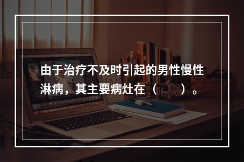 由于治疗不及时引起的男性慢性淋病，其主要病灶在（　　）。