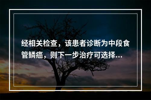 经相关检查，该患者诊断为中段食管鳞癌，则下一步治疗可选择（　