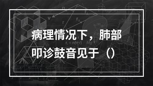 病理情况下，肺部叩诊鼓音见于（）