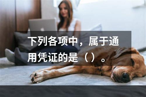 下列各项中，属于通用凭证的是（ ）。