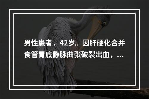 男性患者，42岁。因肝硬化合并食管胃底静脉曲张破裂出血，经社