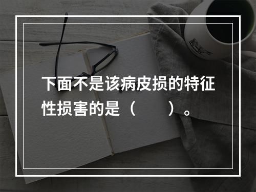 下面不是该病皮损的特征性损害的是（　　）。