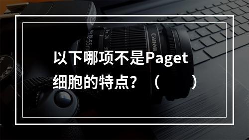 以下哪项不是Paget细胞的特点？（　　）