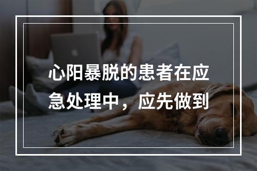 心阳暴脱的患者在应急处理中，应先做到