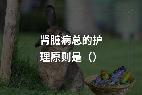 肾脏病总的护理原则是（）