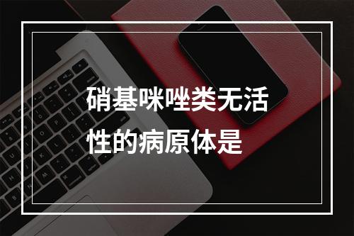 硝基咪唑类无活性的病原体是