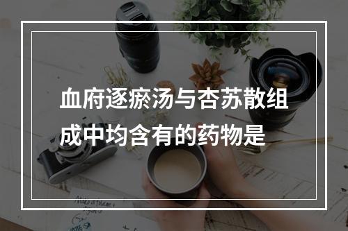 血府逐瘀汤与杏苏散组成中均含有的药物是