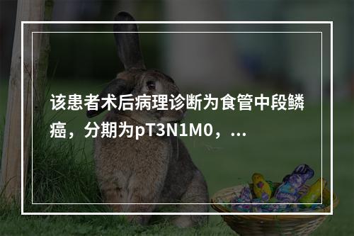 该患者术后病理诊断为食管中段鳞癌，分期为pT3N1M0，根据