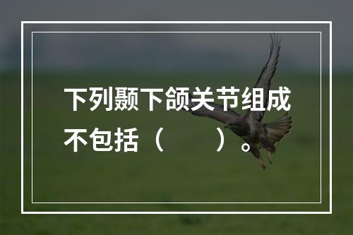 下列颞下颌关节组成不包括（　　）。