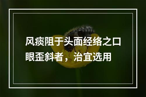 风痰阻于头面经络之口眼歪斜者，治宜选用