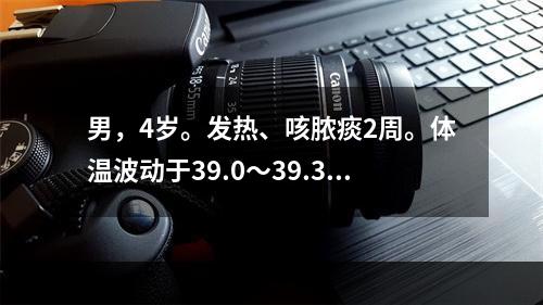 男，4岁。发热、咳脓痰2周。体温波动于39.0～39.3℃。