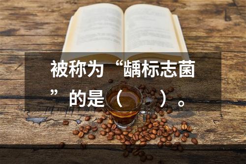 被称为“龋标志菌”的是（　　）。