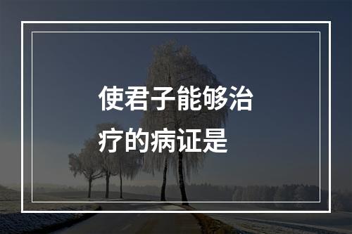 使君子能够治疗的病证是