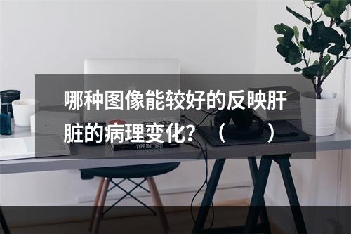 哪种图像能较好的反映肝脏的病理变化？（　　）