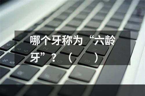 哪个牙称为“六龄牙”？（　　）