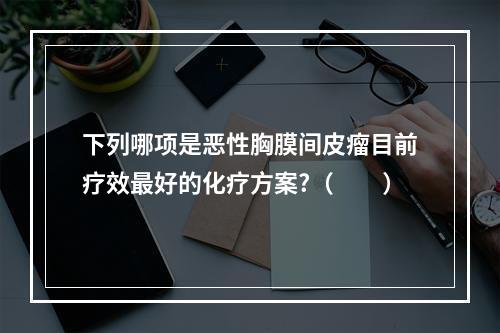 下列哪项是恶性胸膜间皮瘤目前疗效最好的化疗方案?（　　）