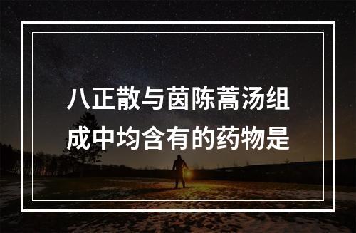 八正散与茵陈蒿汤组成中均含有的药物是