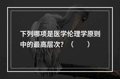 下列哪项是医学伦理学原则中的最高层次？（　　）