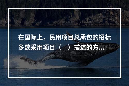 在国际上，民用项目总承包的招标多数采用项目（　）描述的方式。