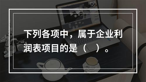 下列各项中，属于企业利润表项目的是（　）。