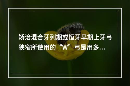 矫治混合牙列期或恒牙早期上牙弓狭窄所使用的“W”弓是用多少