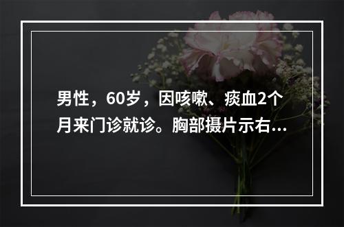 男性，60岁，因咳嗽、痰血2个月来门诊就诊。胸部摄片示右上叶